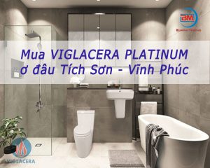 Viglacera-Tích-Sơn